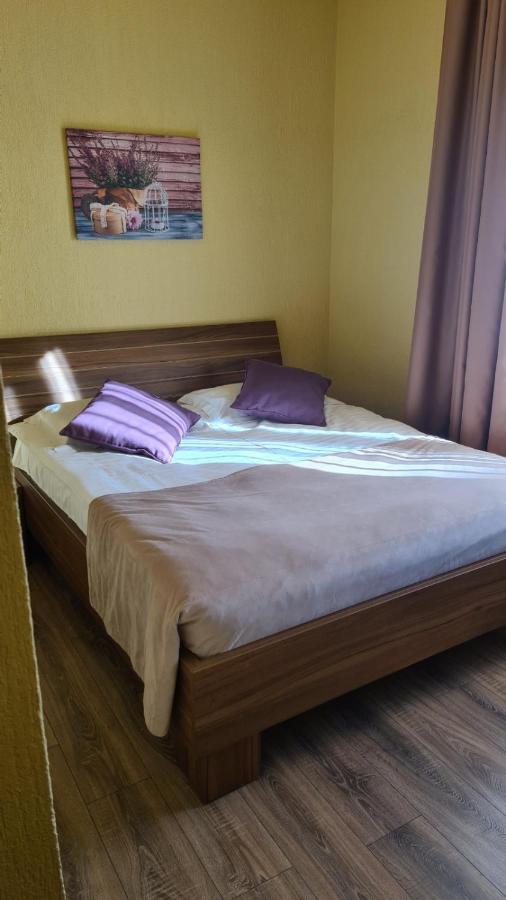 Hotel Gema Braşov Dış mekan fotoğraf